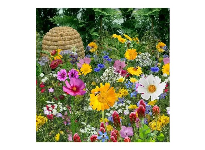 Mélange de graines mellifères pour l'apiculture, le sachet de 100g