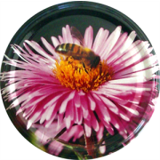 Capsule Twist-Off Fleur/Abeille mauve, Le sachet de 36