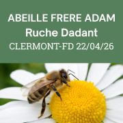  ESSAIM Dadant hiverné Frère Adam - Clermont-Fd, Mercredi 22 Avril 2026 - COMPLET