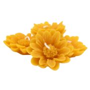 Bougies flottantes "Marguerites" à la cire d'abeille, le lot de 5