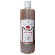 Shampoing douche de la ruche BIO, Ballot Flurin, le flacon de 500ml