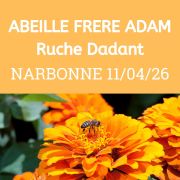 ESSAIM Dadant hiverné - Narbonne 11 avril 2026 - COMPLET
