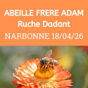 ESSAIM Dadant hiverné - Narbonne 18 avril 2026 - COMPLET