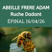 ESSAIM Dadant hiverné - Epinal 16/04/2026 - COMPLET