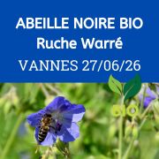 ESSAIM de l'année Reine Noire BIO - RUCHE WARRE - Vannes 27/06/2026 - COMPLET