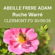 Essaim Warré BIO de l'année Frère Adam - Clermont-Fd, Samedi 30 mai 2026 - COMPLET