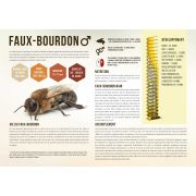 Planche pédagogique en PVC 60x42cm "FAUX BOURDON"