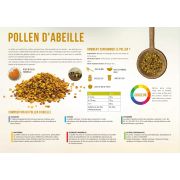 Planche pédagogique en PVC 60x42cm "POLLEN D'ABEILLE"
