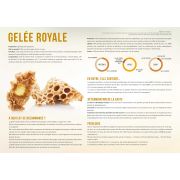 Planche pédagogique en PVC 60x42cm "GELEE ROYALE"