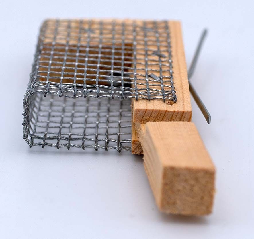 Cage Plate Pour Reine - Besacier Apiculture
