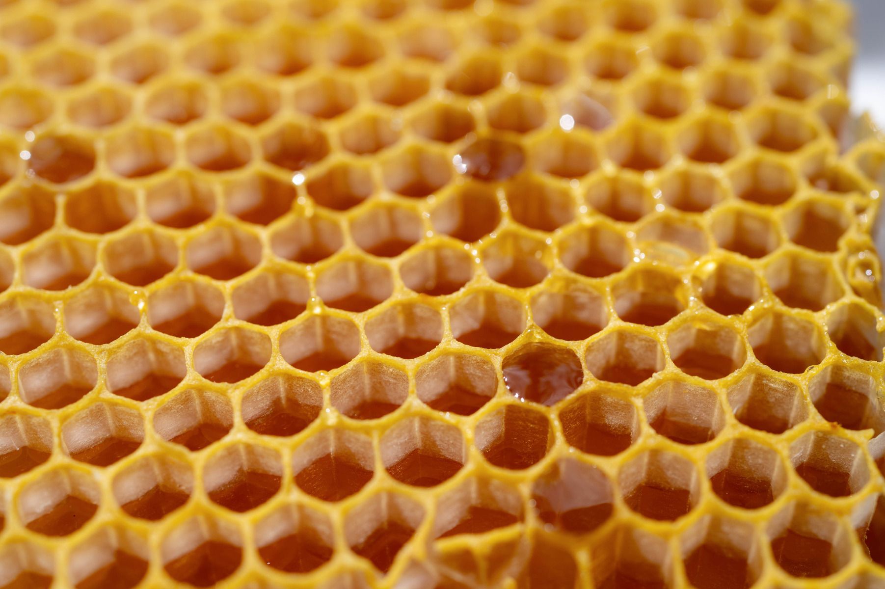 Livre la cire d'abeille naturelle