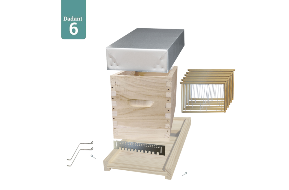 PACK Ruchette Dadant 6 GREENBEE en paulownia extralight, avec