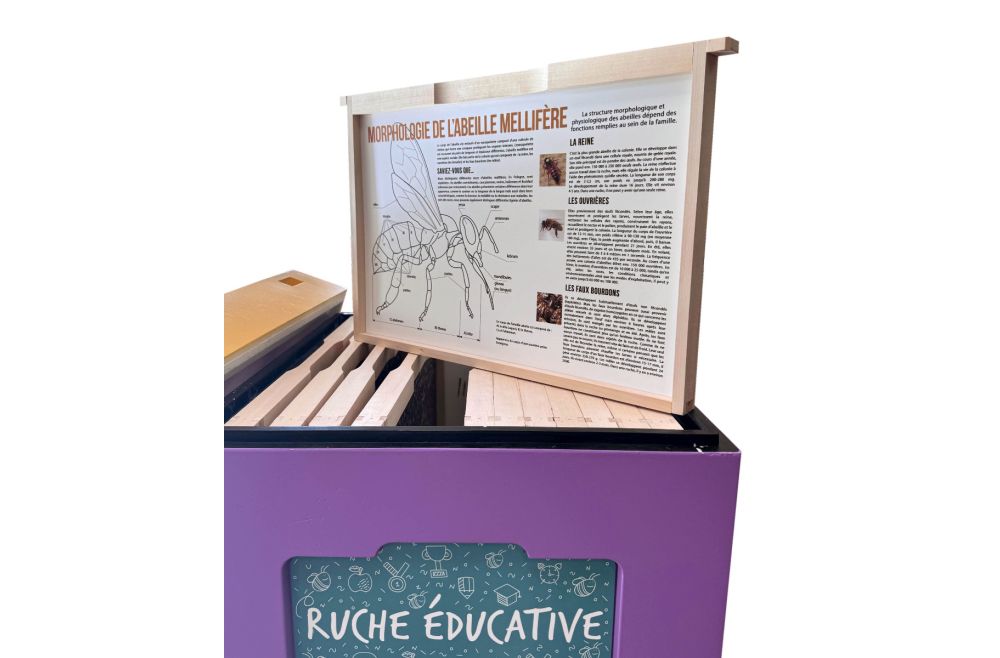 Cache Educative Ruche éducative avec photos - Naturapi