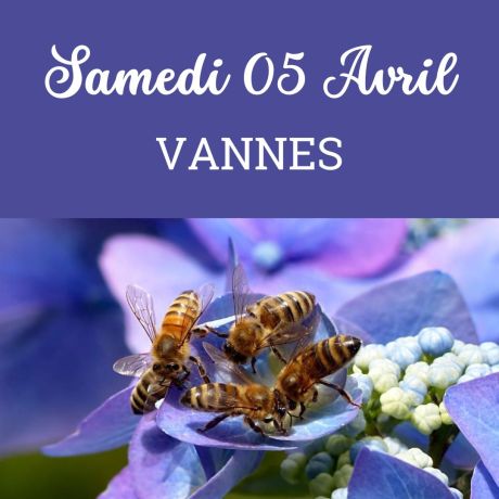 ESSAIM hiverné Reine Noire BIO - Vannes  05/04/2025 - COMPLET