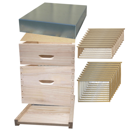 Ruche Dadant 10 en paulownia, GREENBEE extralight, avec hausse et cadres filés