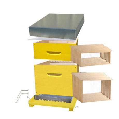 PACK Ruche Dadant 10 BEECOLOR jaune soleil avec plancher ventilation totale