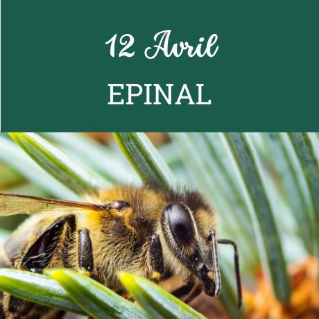 ESSAIM Dadant hiverné - Epinal 12 avril - COMPLET