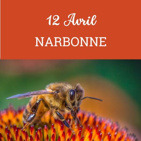 ESSAIM Dadant hiverné - Narbonne 12 avril - COMPLET