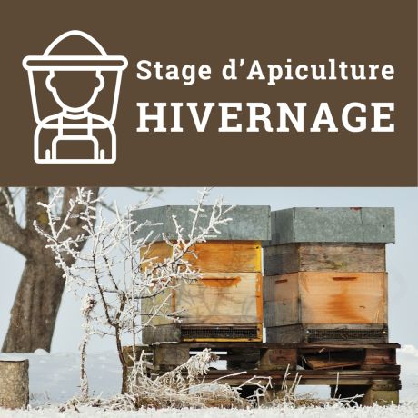 Stage d'Apiculture "PREPARER L'HIVERNAGE", le Samedi 06 Septembre 2025