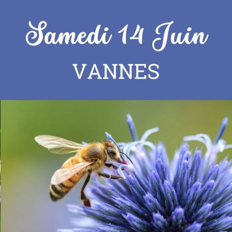 ESSAIM de l'année Reine Frère Adam - Vannes  14/06/2025 - COMPLET