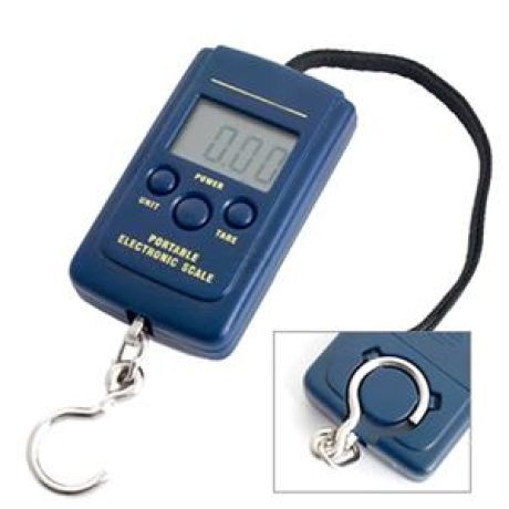 Peson électronique 40 Kg Peson électronique 40 Kg