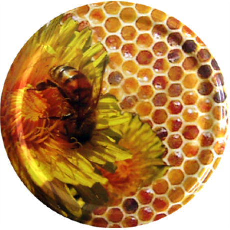 Capsule  TO82 "Florabelha",  LE CARTON DE 630