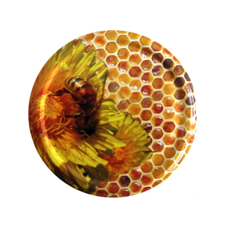 Sachet de 12 capsules florabelha