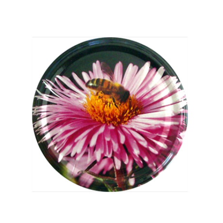 Sachet de 12 capsules TO82 Fleur/Abeille mauve Sachet de 12 capsules TO82 Fleur/Abeille mauve