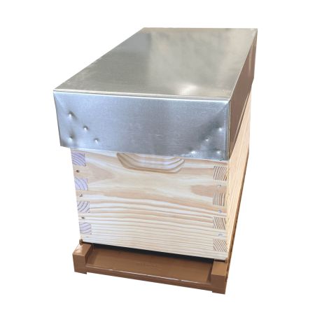 Ruchette Dadant 6 NATURAPI BASIS plancher plastique