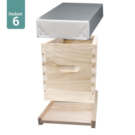 Ruchette Dadant 6 en Paulownia GREENBEE extralight, Modèle Basis 15F4