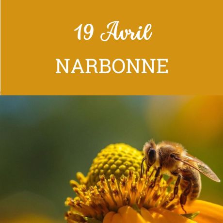 ESSAIM Dadant hiverné - Narbonne 19 avril - COMPLET