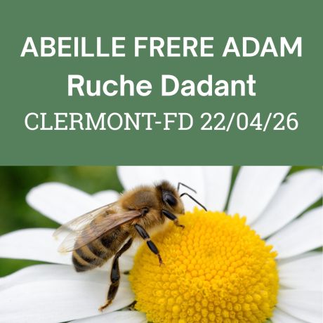  ESSAIM Dadant hiverné Frère Adam - Clermont-Fd, Mercredi 22 Avril 2026