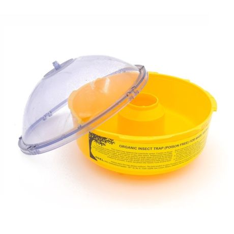 Piège à guêpes et frelons ANEL à poser ou à suspendre