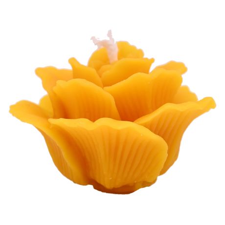 Bougie "Rose de Noël" à la cire d'abeille