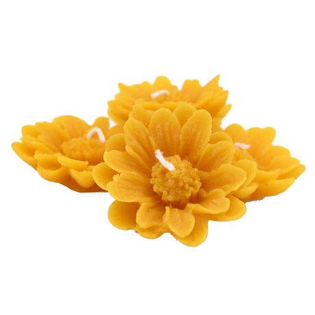 Bougies flottantes "Marguerites" à la cire d'abeille, le lot de 5
