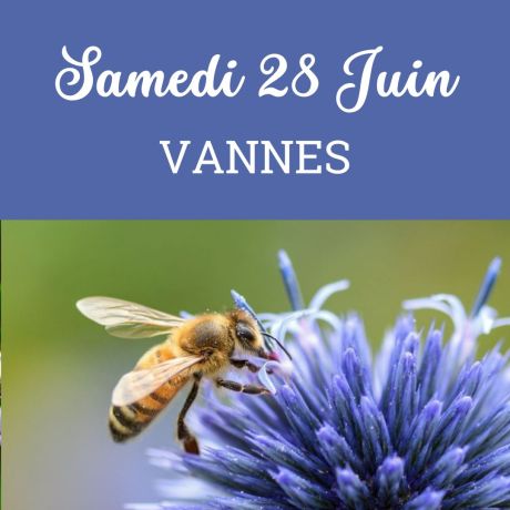 ESSAIM de l'année Reine Frère Adam - Vannes  28/06/2025 - COMPLET