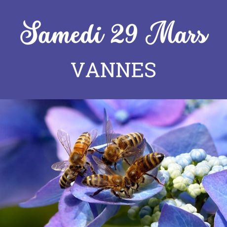 ESSAIM hiverné Reine Noire BIO - Vannes  29/03/2025 - COMPLET