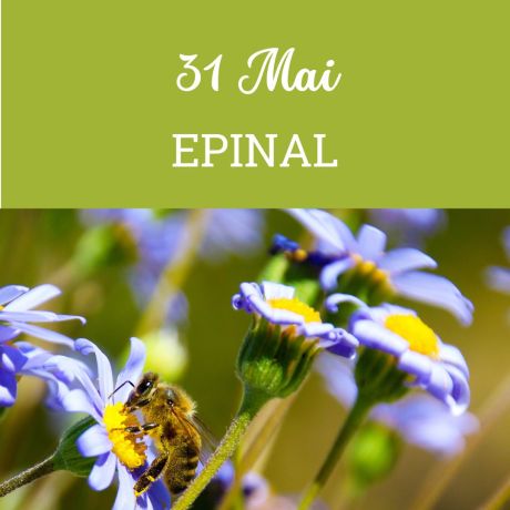 ESSAIM Dadant de l'année - Epinal 31 mai - COMPLET