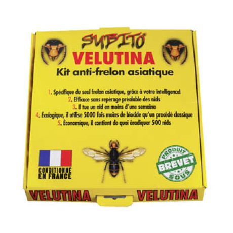 Velutina KIT de lutte spécifique anti-frelon asiatique 