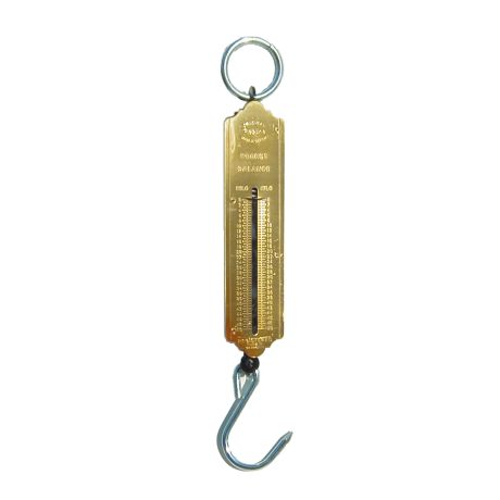 Peson en laiton 50 Kg Peson en laiton 50 Kg