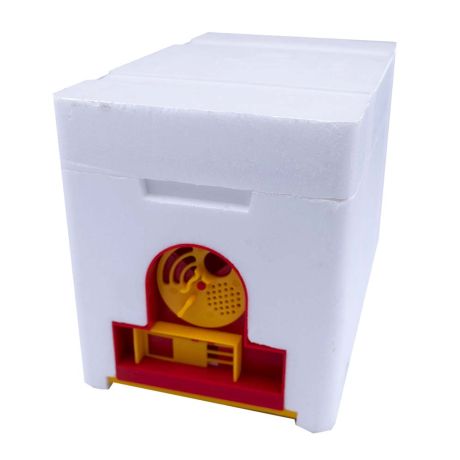 Ruchette de fécondation QueenBox complète