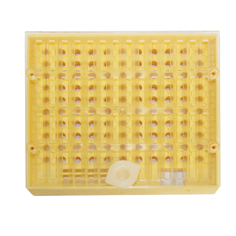 Cupularve Nicot, l'unité