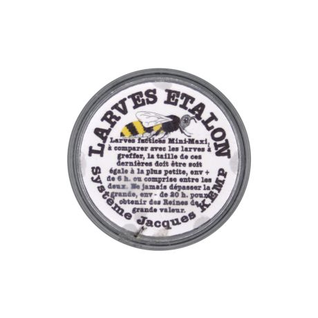 Larve étalon Larve étalon