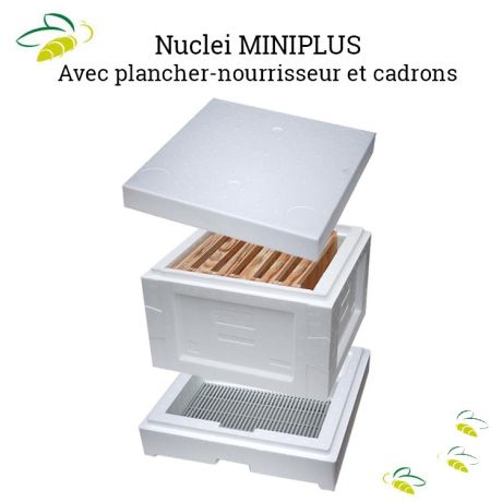 Nuclei Miniplus en polystyrène avec plancher-nourrisseur, corps, toit et cadrons