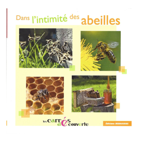 Livre "Dans l'intimité des abeilles" (Editions Debaisieux, 150*150mm)