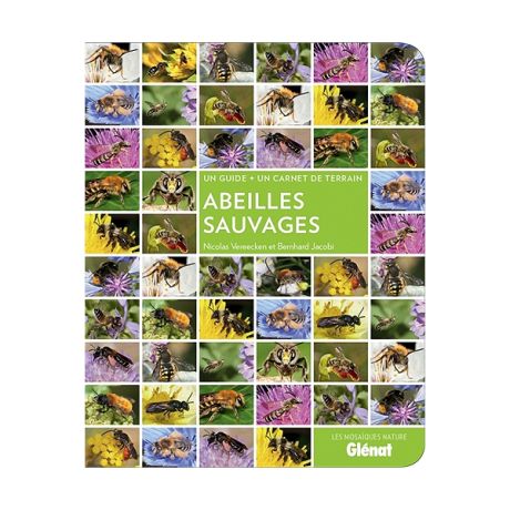 Livre "Abeilles sauvages"  (édition Glénat)