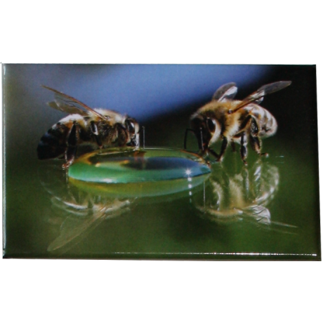 Magnet "abeilles sur bulle" 