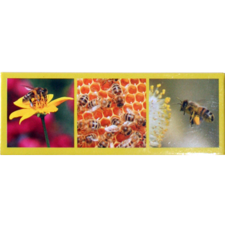 Magnet panoramique 3 photos abeilles 