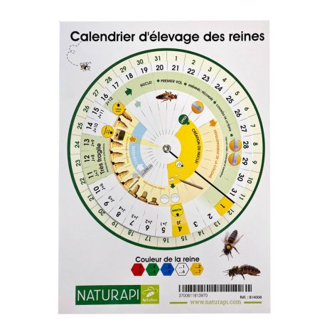 Calendrier d'élevage de reine