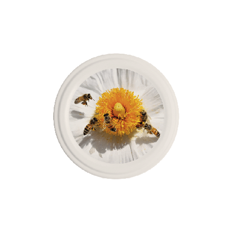 Capsule ABEILLES FLEUR BLANCHE, le sachet de 36 Capsule ABEILLES FLEUR BLANCHE, le sachet de 36